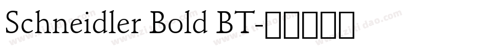 Schneidler Bold BT字体转换